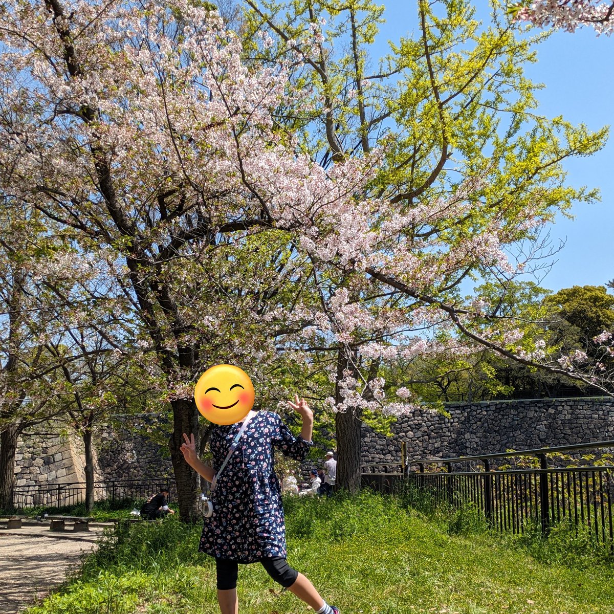 これから、子育てサークルのイベントお手伝い
会場が大阪城の近くなので、娘と大阪城でお弁当食べてから行きます😊

桜はほぼ葉桜ですが、風で舞ってる花びらがきれいです🌸

アナタのビーサンはステキ展
100種類のビーサン販売中🩴