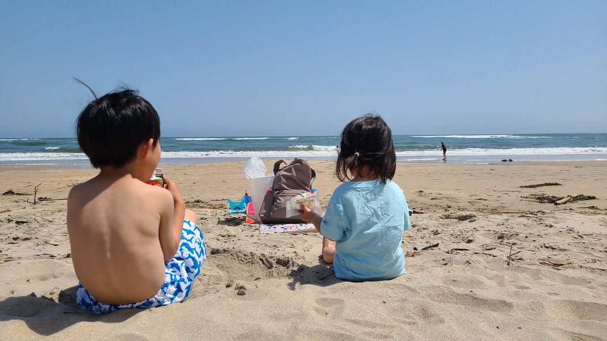 kuwasan_yakosei's tweet photo. 暖かいから、海にきた！
砂浜にいたこいつは、クワガタかな？ https://t.co/m9LTX6Goje