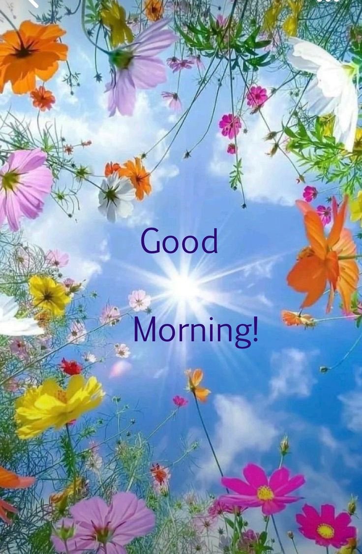 Good morning X family.   
#cryptocrash #IranAttack #Iranians #GoodMorningTwitterWorld