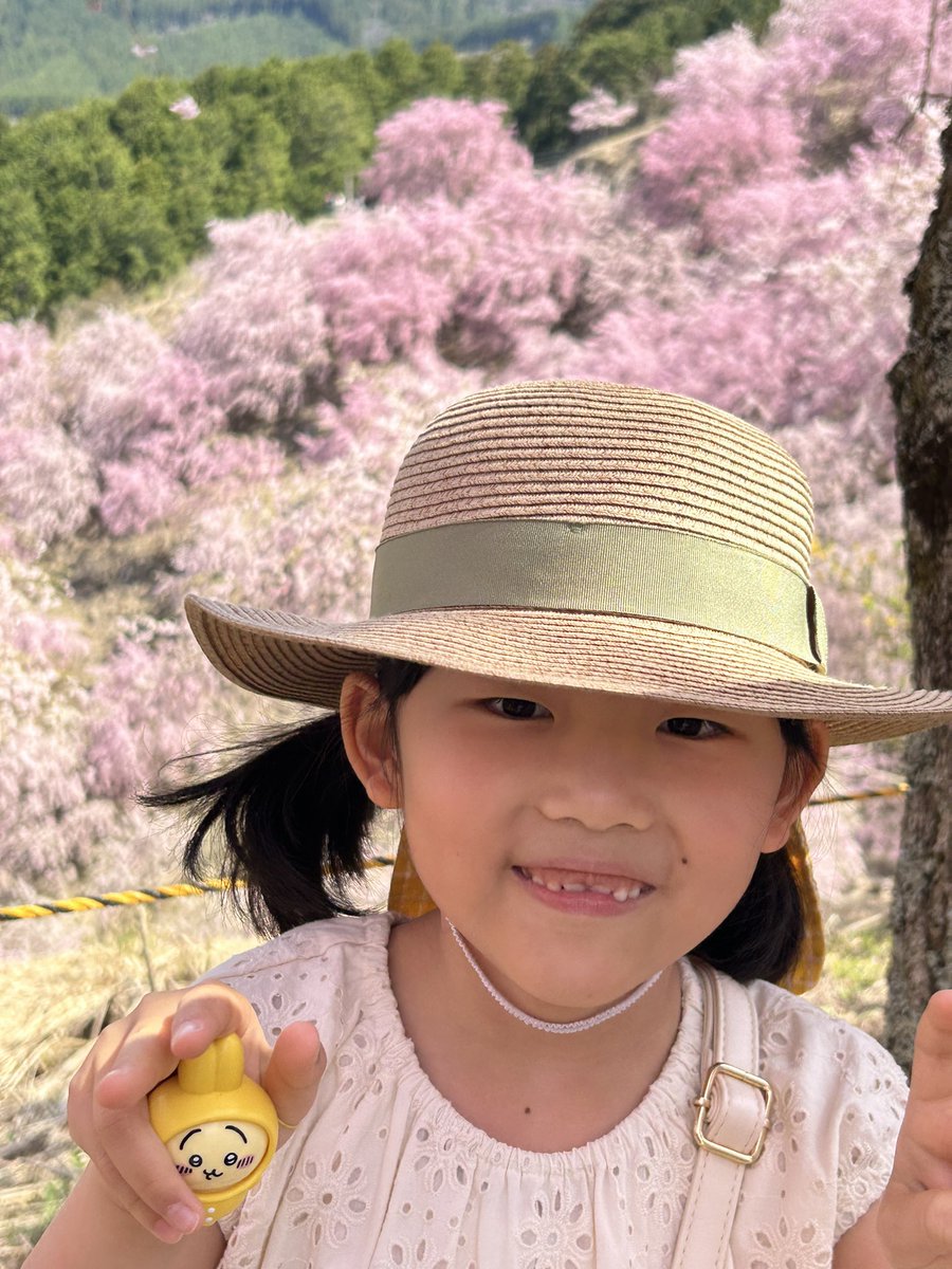 matsuke1130's tweet photo. 時期ハズレの桜！ https://t.co/owP9ppTfgl