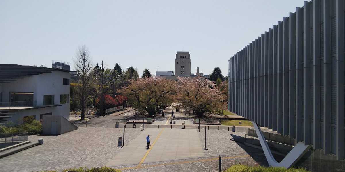 masu1017's tweet photo. 野暮用で大岡山に来た。ロマンス坂に通じるところでは、桜が散る様子を楽しめました。本館前の桜は葉桜になってますが、この時期に楽しめるというのは珍しいです。 https://t.co/726k2CU1b4