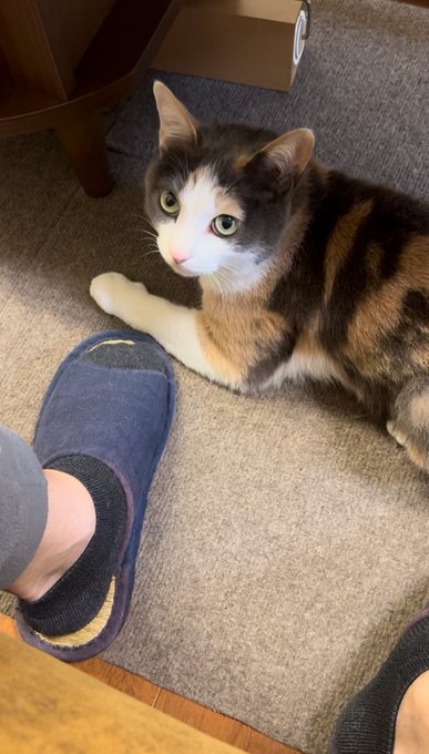 ヌッ 