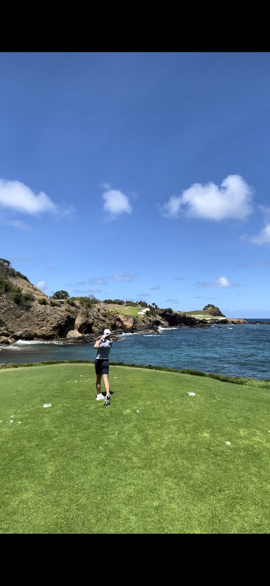 Nylan Deal tweet media