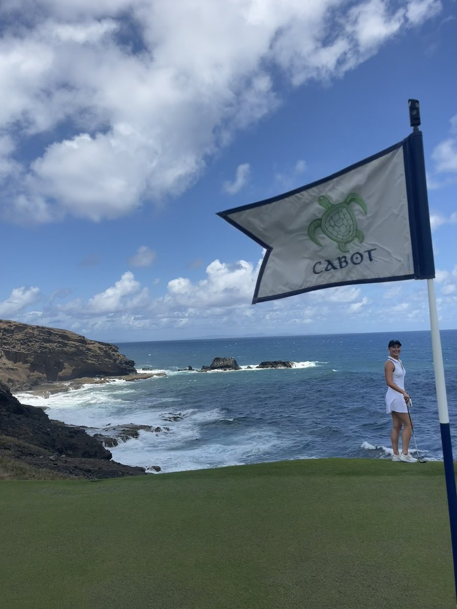 Nylan Deal tweet media