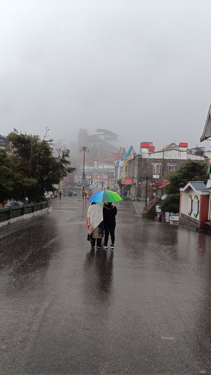 Is it raining at your place too???

#shimla #Sunday #RainyDay #HimachalPradesh #sundayvibes