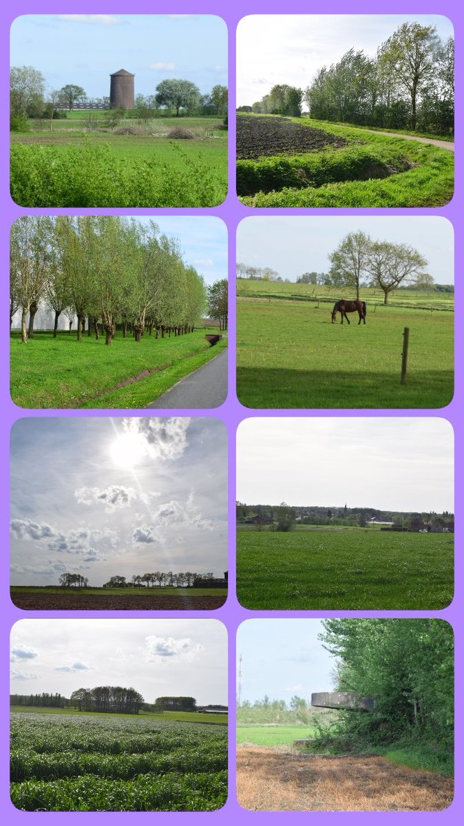 CoolsGreetje's tweet photo. #Maldegem #Kleit #Wandelen #Knooppunten #Watertoren #GlooiendeLandschap #Ontspanning #Lentekriebels #ZonOpOns #VerteZichten https://t.co/CzQCoBzo2B