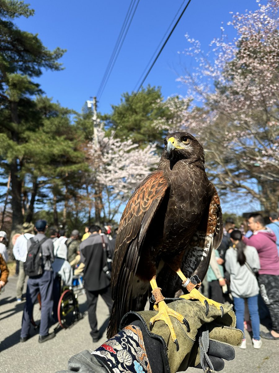 shinsan33's tweet photo. 今年も来たで車輪村
相変わらずバイクスタントとドリフトが凄い
＃車輪村
#神石高原 https://t.co/lmDLuFLOJT