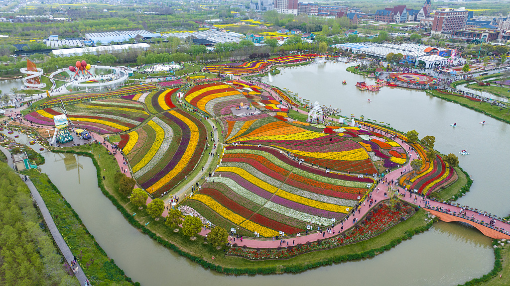 Recientemente, más de 30 millones de tulipanes de diferentes colores han florecido en el distrito de Dafeng, Yancheng, provincia de Jiangsu. Parece un lienzo de pintura, con un despliegue de colores vibrantes y deslumbrantes. #TurismoCultural #wh #China