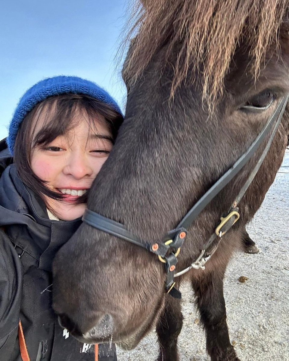 30JAN - 5 FEB 2023
Reynisfjara Beach ชอบสุดละ🥰

สนามบินฮาเนดะ 🇯🇵12:30 

✈️ไปสนามบินโคเปนเฮเกน🇩🇰 13hr
ต่อ✈️ไปเรยาวิค 🇮🇪3hr

โรงแรมที่เรยาวิคมีโอกาสเห็นแสงเหนือได้🌌ในบางวัน🤭

ทัวร์วงกลมทองคำ

น้ำตกกุลล์ฟอสส์ gullfoss

⛲ร้อนThe Great Geysir

Thingvellir National Park🇮🇸