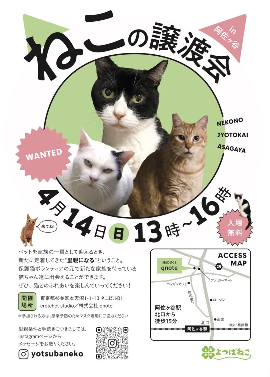M7VsFqtapEE2k7A's tweet photo. 本日開催！

ライブ＆縁日がクロチェットカフェ(@crotchet_cafe)さんで🎇🎸

よつばねこさん譲渡会がB1階にて！🐱

新座から飛ばして参ります🚲💦
16時から夜勤なので今回もウルトラマンです🙏

#阿佐ヶ谷
#qnote
#crochet_studio
#crochet_cafe
#よつばねこ
#保護猫
#譲渡会
#リポストお願いします https://t.co/wqbP7xI3bE