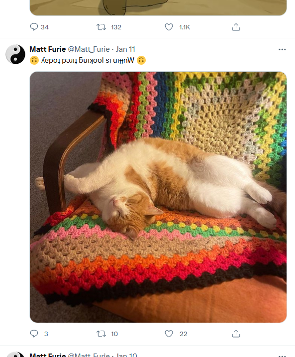 MattFuriesCat's tweet photo. Muffin $MUFFIN | ETH 

We're Matt Furie's IRL cat!  

0/0 TAX - COMMUNITY OWNED

Links 🔗:
Web: https://t.co/0cQLcdu3Op
Community: https://t.co/42QknIAd2I
Buy (Uniswap): https://t.co/39XG0woPox

Contract: 0x68aae81b4241ffe03d3552d42a69940604fe28bf

Chart: https://t.co/rzmxXquQUP

He created Andy, Pepe, Brett and Landwolf.

Will you fade the cat of the most important artist of DeFi currently?