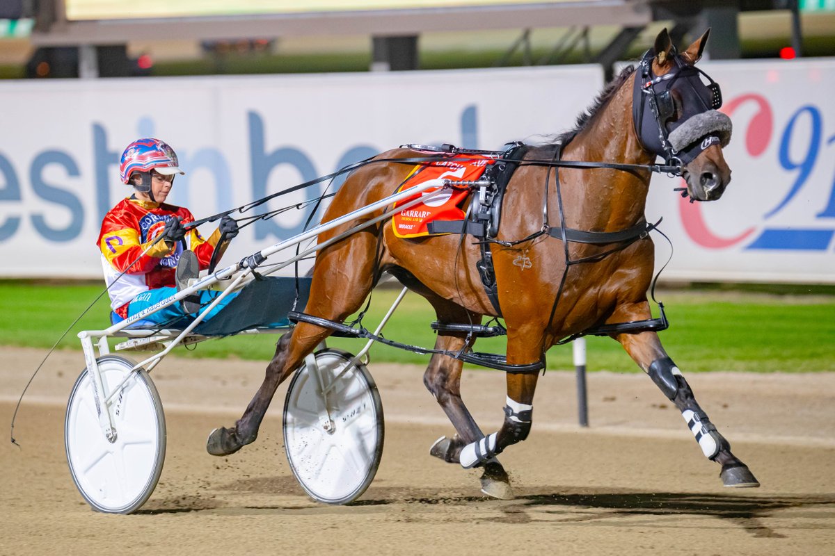Catch the wave of a lifetime on Friday night with us! ⏰ 5 DAYS ⏰ #NullarborSlotRace 📸: Club Menangle | Pacepix