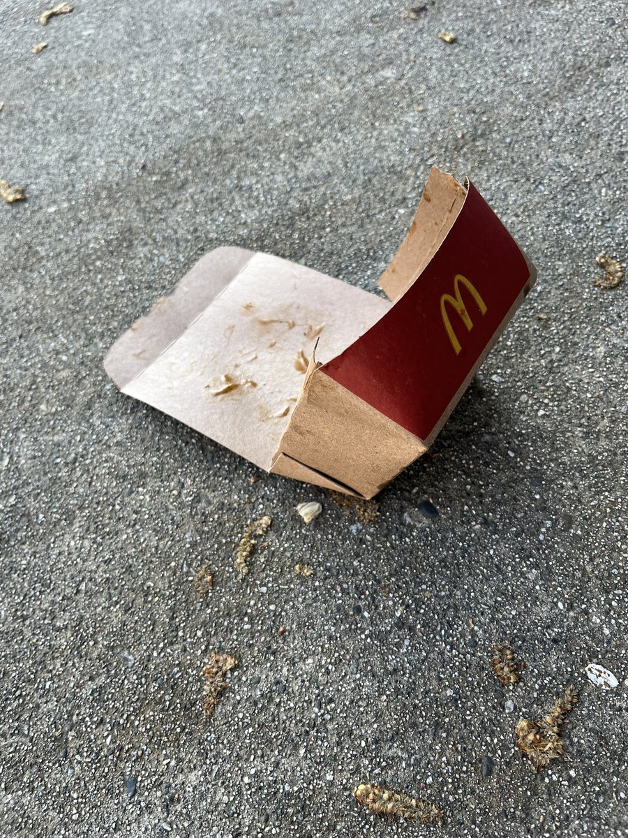frigidsnitch's tweet photo. do u ever feel like. a plastic bag .. 🤔 https://t.co/EpNj5DhwLx