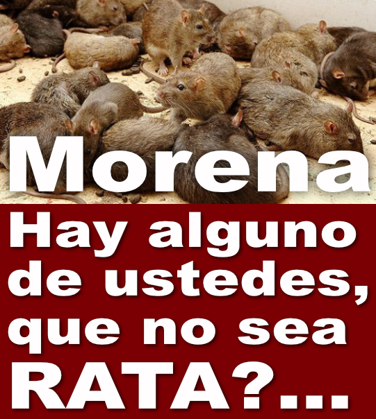 @VMOSN Por curiosidad?...
#NarcoPresidenteAML037 #RataDeHielo
