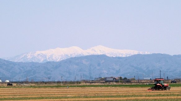 nnmsw4261's tweet photo. 白く見えるのは「守門岳」です。今日は天気も良く、花見日和ですが、水田の耕作も始まっています。 https://t.co/pQ4W6Xz82O