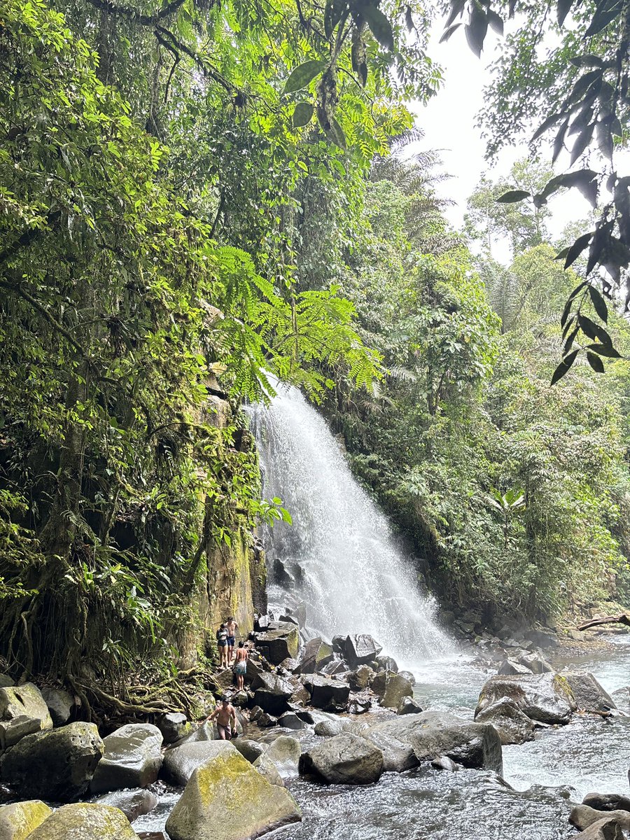 I only signed up for @BenAndBenMusic here in Bukidnon but nakapag treck nang wala sa oras. Glad to take this treck tho the view in the end was really great.

#Bukidnonmyhome