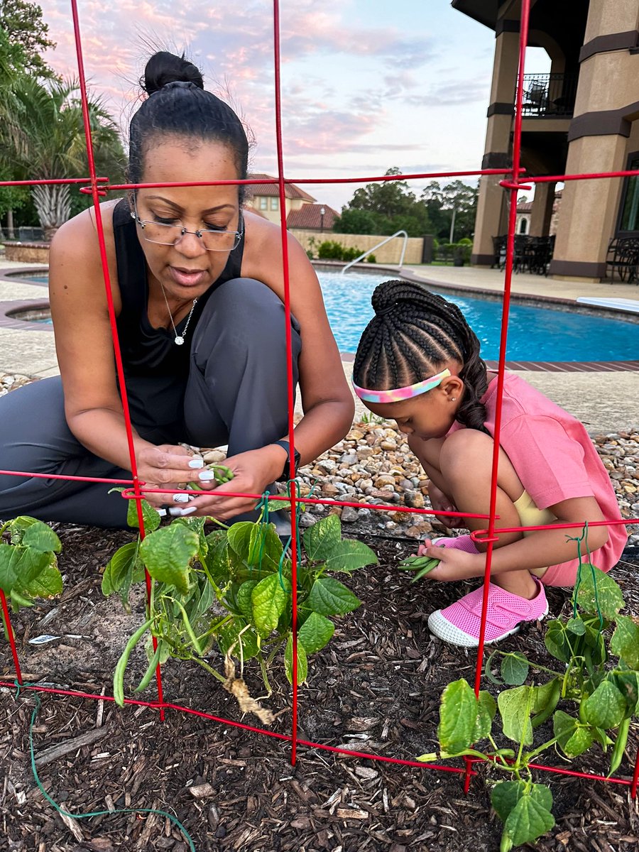 EricaOnABC13's tweet photo. Ella learned some ins and outs of gardening today. 👩🏽‍🌾 I love her adventurous spirit! https://t.co/3kQf1cJ4vp