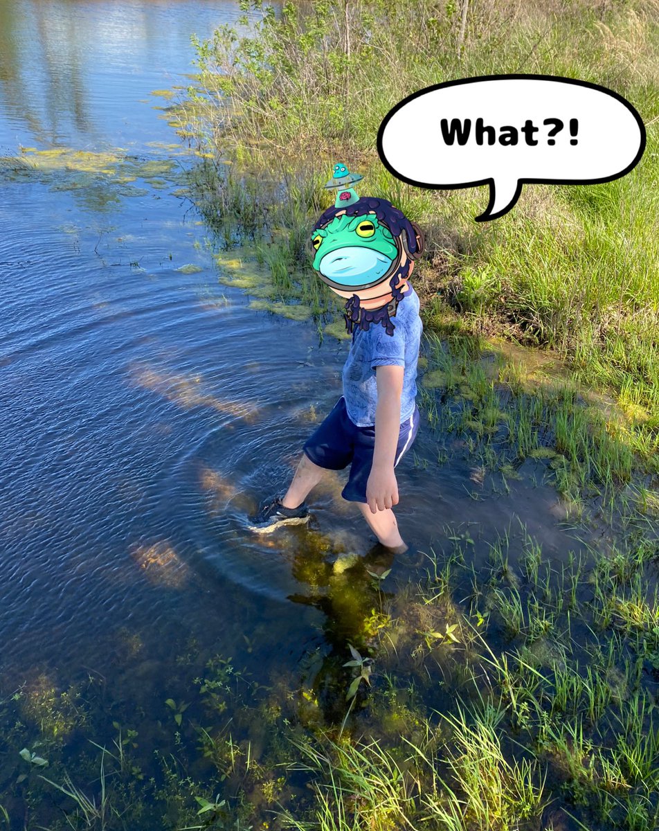 I’m just lookin’ for $TRTL , PeePaw. What?! Do I look I look like some kind of “Villain”?! 
@TurtleSyndicate 
#FarmKids #PondLife #WildlifeHabitat #grandkids #CNFTMarketing #CNFT $Ada $Tortol #GenerationalWealth #TrueWealth