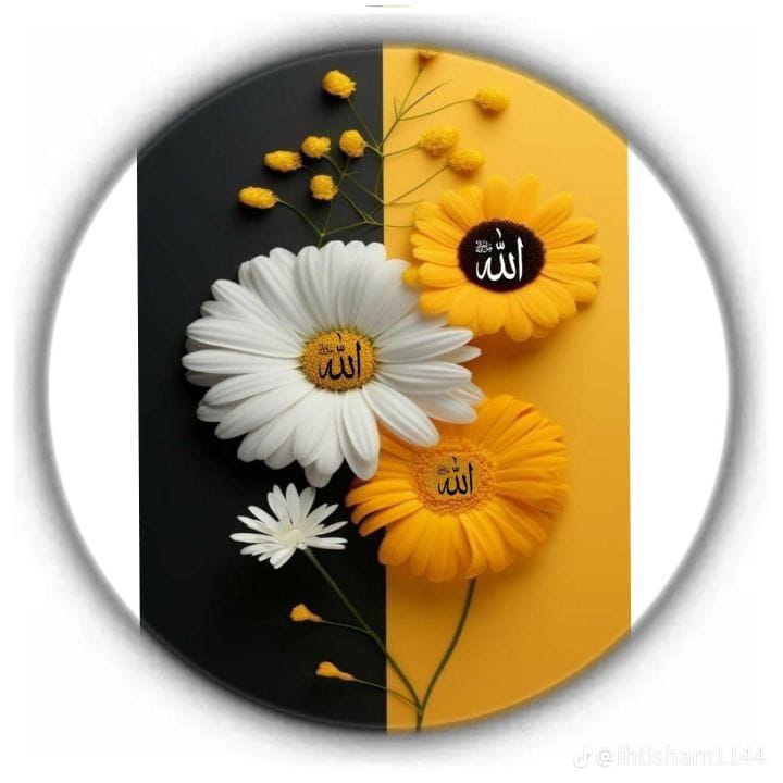 Labiakhan_8's tweet image. Assalamualaikum 
Good morning 
Will you reply my salam