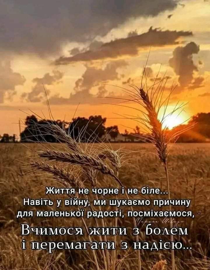 Благословенної неділі вам, мої дорогі українці! ❤️ Будьте мені усі живі і здорові! 🙏