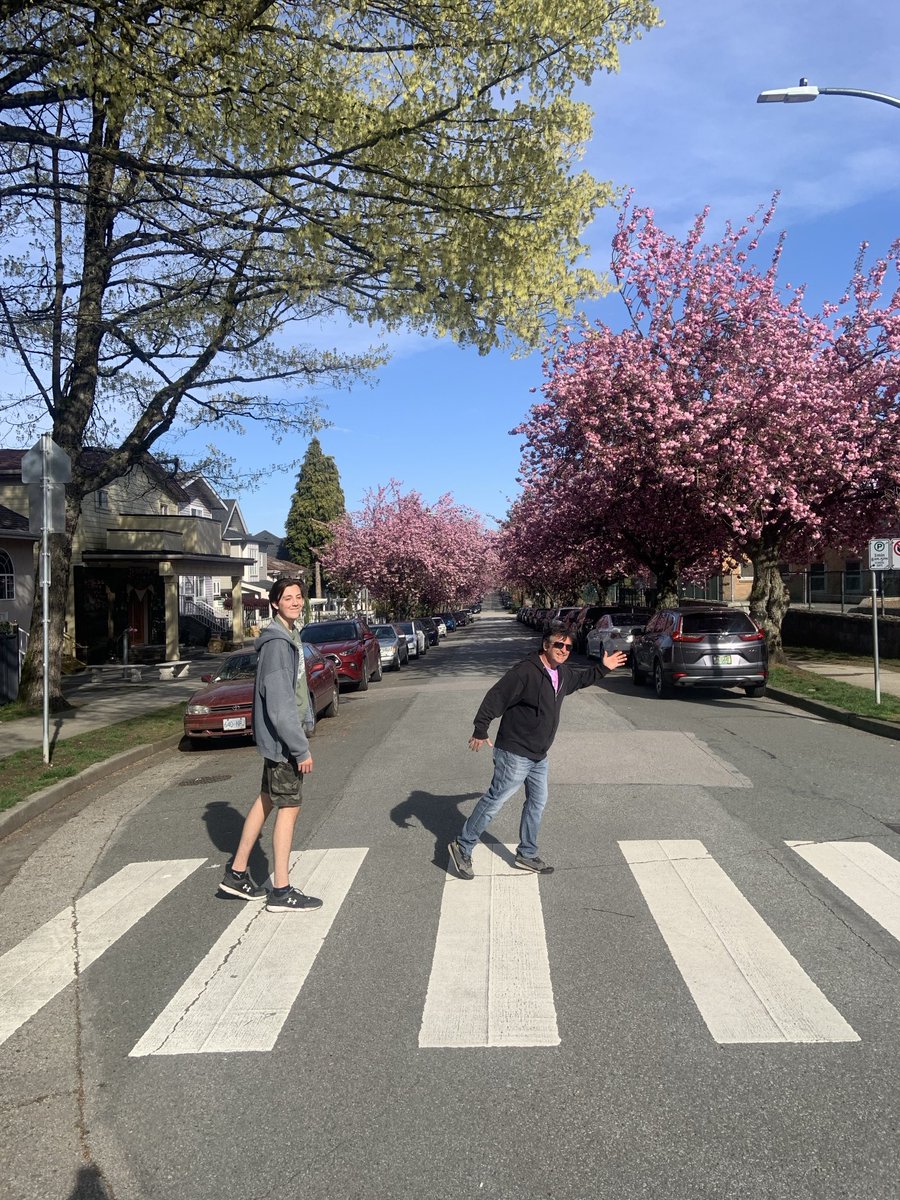 #mtpleasant #cherryblossoms