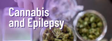 'From seizure storms to moments of calm - cannabis is changing the game for epilepsy patients. With CBD leading the charge, it's not just a buzz; it's a beacon of hope. 💡🌿 #CannabisForEpilepsy #CBDHeals'