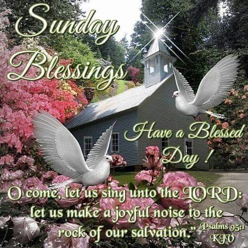 #SundayBlessings #TwitterFriends 🌺Have A Glorious Sunday!