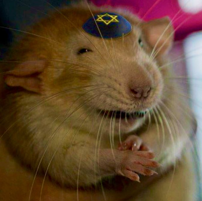 moonchild1331 tweet media