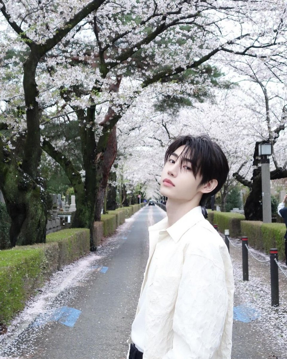 littlejaycat's tweet photo. กุชอบซองฮุนตัดผมทรงนี้มาก 18 again จริงๆ แล้วยิ่งถ่ายกับซากุระ คือ เหมือนซีนเปิดตัวพระเอกซีรี่ย์เรื่องหนึ่ง เปนโปสเต้อหนังได้เลยอะ ชอบมาก😭😭😭😭😭😭😭😭😭😭😭😭😭 https://t.co/E4GupHLKC2
