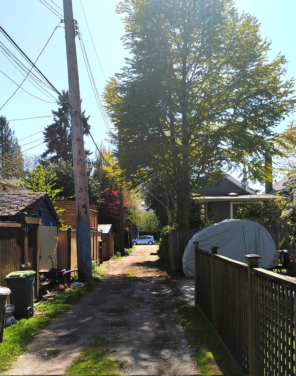 jtscooper's tweet photo. #Kitsilano laneway, April Saturday, #Vancouver, #yvr https://t.co/gymQvA6D5B