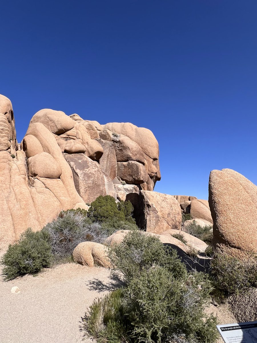 Phaden14's tweet photo. All about rocks #JoshuaTreeNP https://t.co/LeVidgkriz