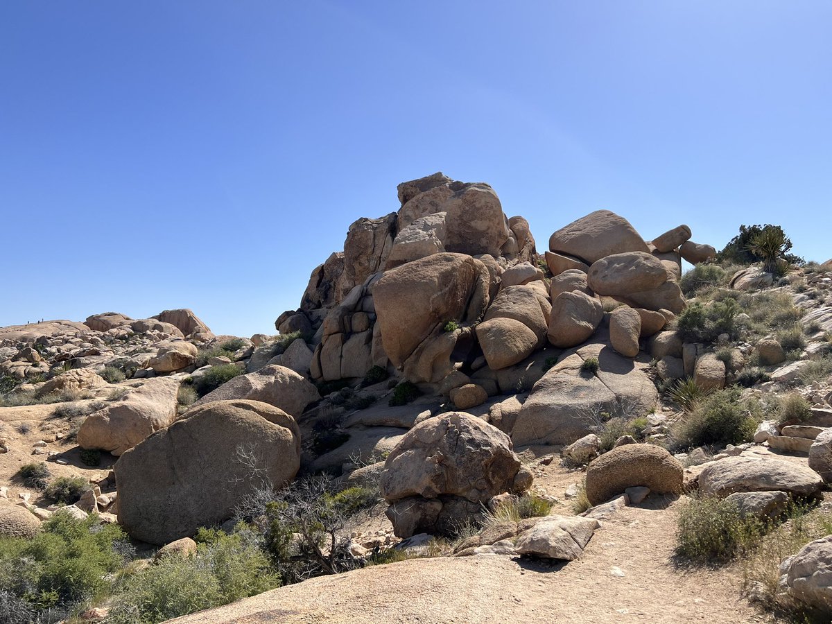Phaden14's tweet photo. All about rocks #JoshuaTreeNP https://t.co/LeVidgkriz