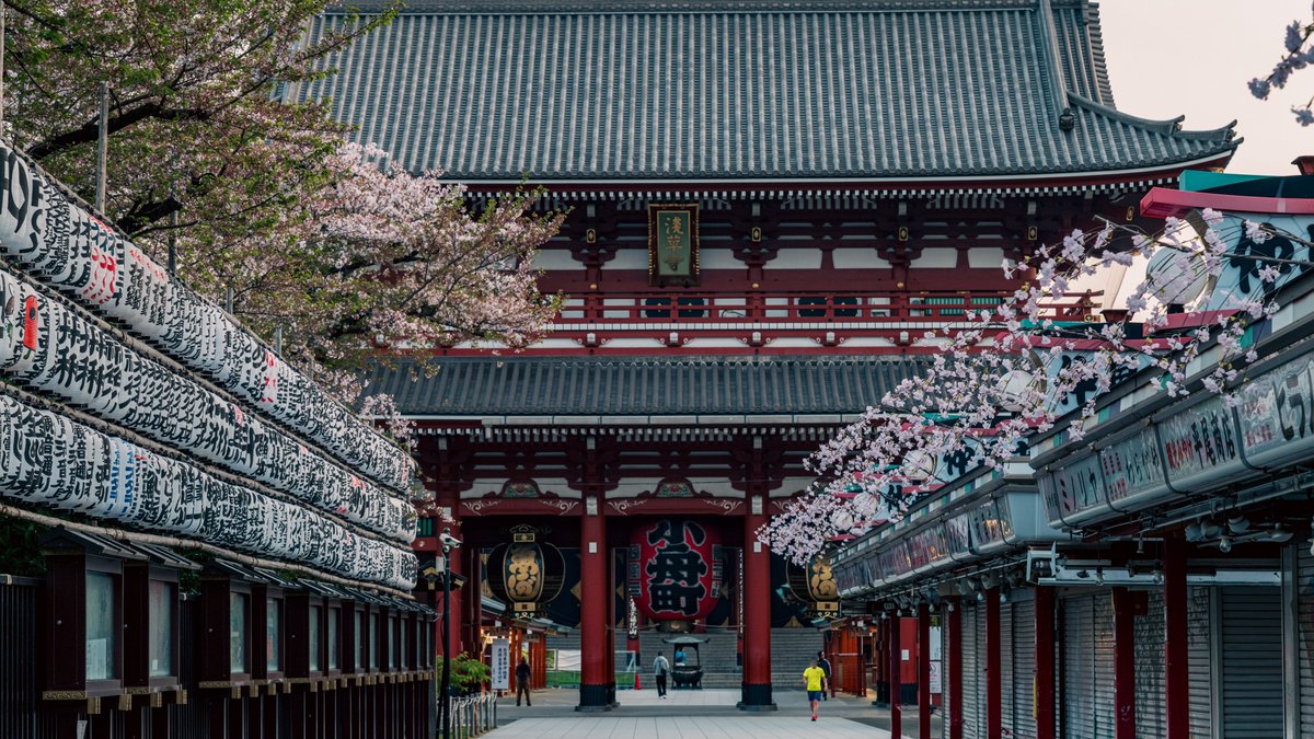 朝の浅草寺