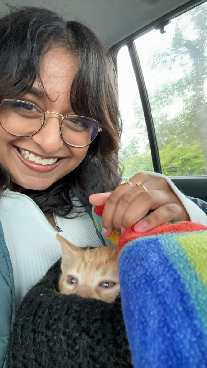 spookyshah's tweet photo. i became a mother today btw :’) twitter meet walrus! my tiny 5 week old orange son 🤱🏽🧡 https://t.co/zUNOHf2vsd