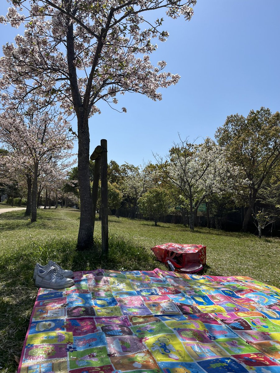 HyodoNote's tweet image. こんにちは世界
反抗期真っ只中、
昼夜逆転現象の中3息子

日光を浴びてもらおうと
男二人ピクニックに誘ったら
一緒に来た

母親との関係が少し複雑になってる様子だが、本当に反抗期なら父親と二人ピクニックはありえない。良いヤツである
流石に準備したバトミントンは嫌らしい

パパは好きだぞ