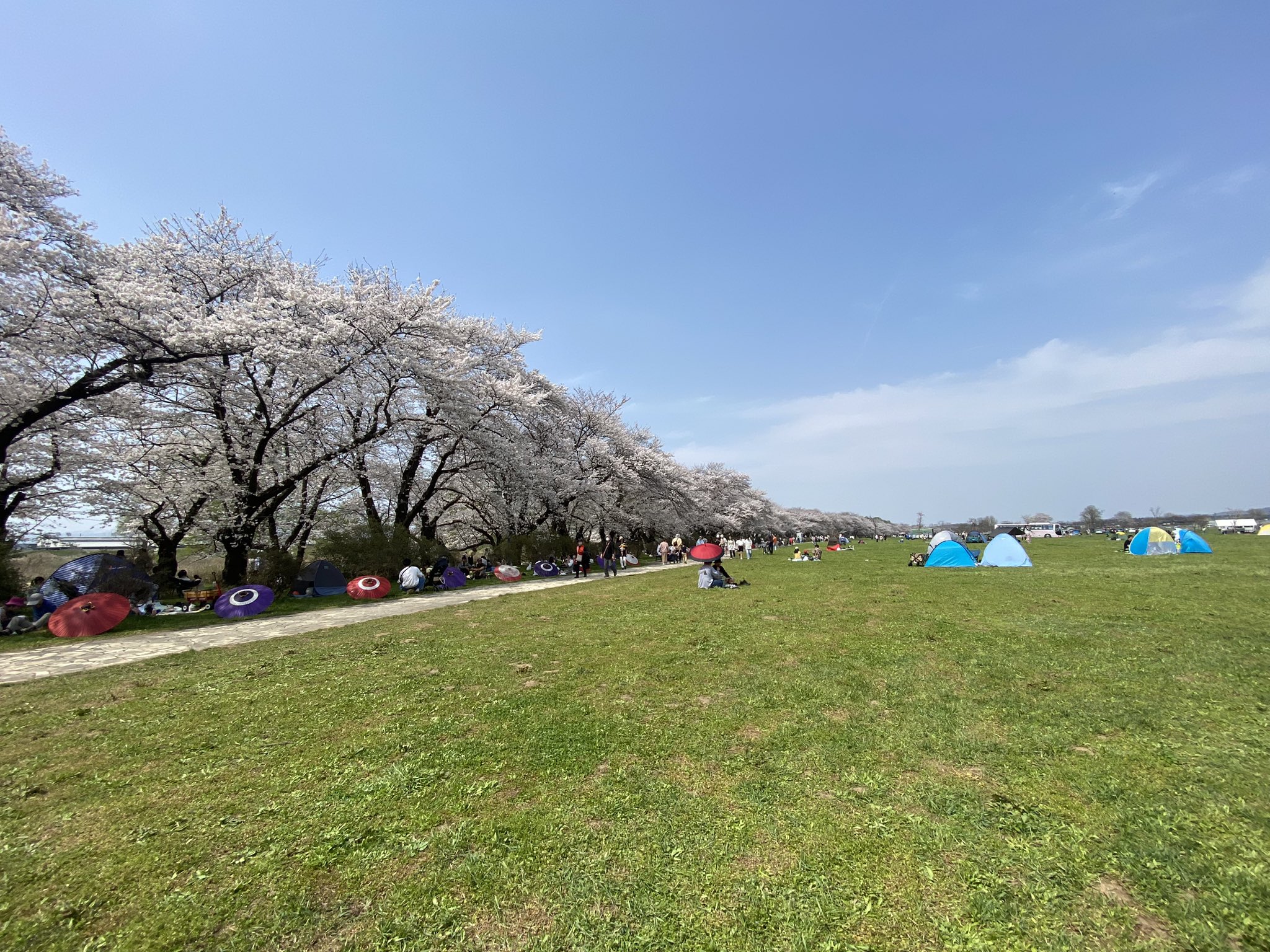上州勝山 上 野 on X: 