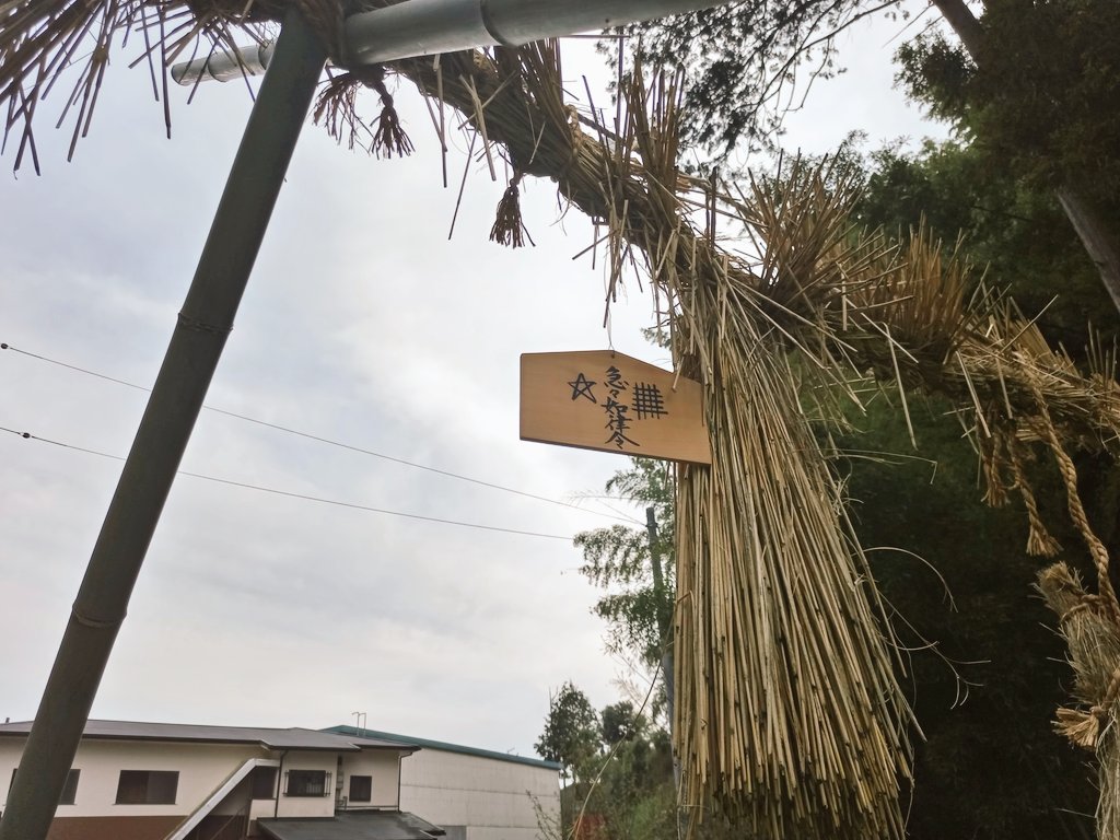 縞しっぽ tweet media