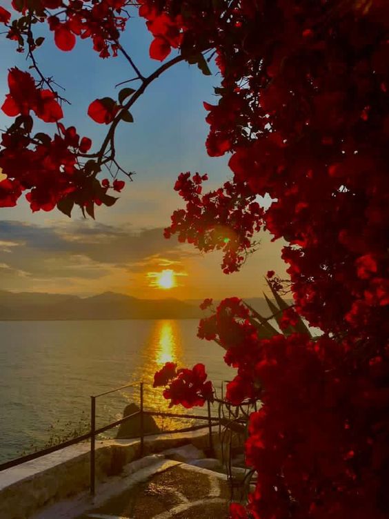 🌸❤️🌸One day, it will all make sense..🌸❤️🌸 #Sunset sunsetters