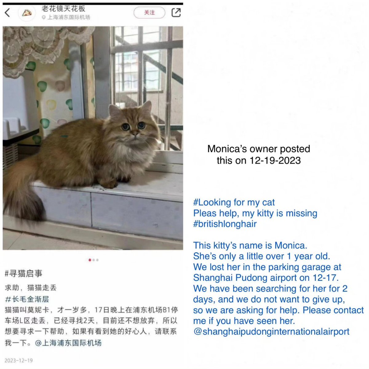 felineguardians's tweet photo. https://t.co/EPRRzImjDw