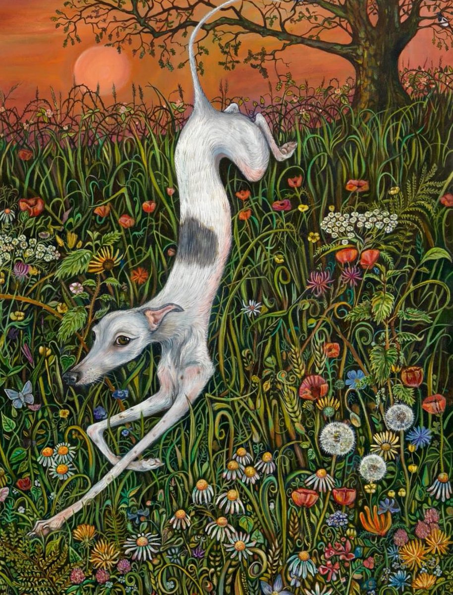 Everyone needs a whippet (painting by Elle Wilson)🎨🐕