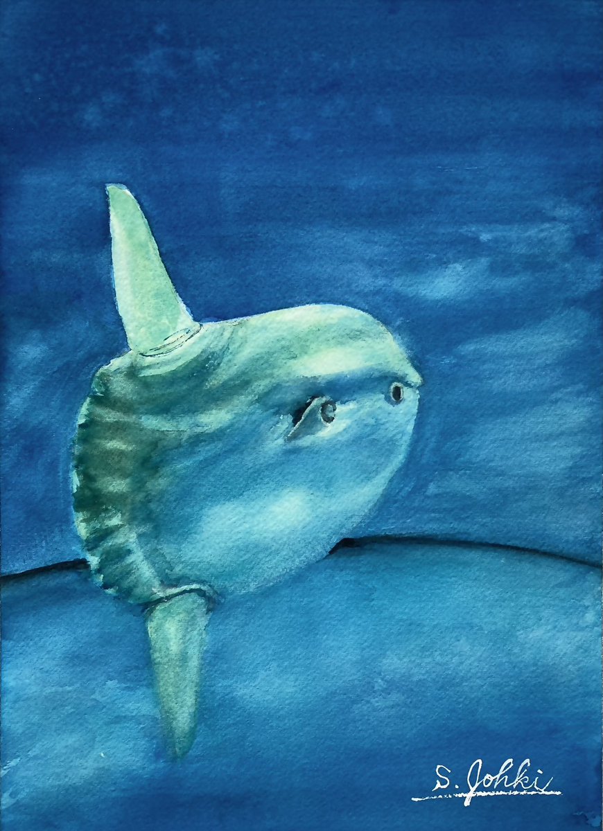 #これを見た人は水色又は青色と白色の混ざった色の画像を貼れ
あんまり白の部分がない絵だけど•••

Watercolor（透明水彩画） F4号 過去作
#透明水彩 #水彩 #水彩画 #透明水彩研究会 #watercolor  #TWS #絵描き #画家 #透明水彩画 #美術ネットワーク #絵描きさんと繋がりたい #魚の絵 #マンボウ