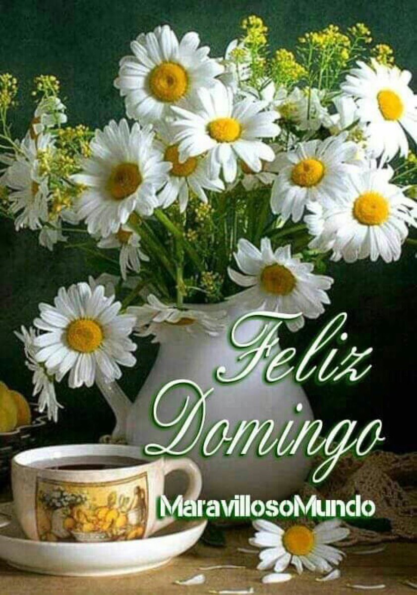 Buenos días amig@s 🌹 Disfruta este hermoso amanecer… HOY : Es un día PRECIOSO, vívelo y saca a relucir tu mejor SONRISA, y recarga tus pensamientos de buenas vibras . Arma tu cuerpo de SALUD y tu corazón de mucho AMOR. FELIZ DOMINGO. Mil abrazos.