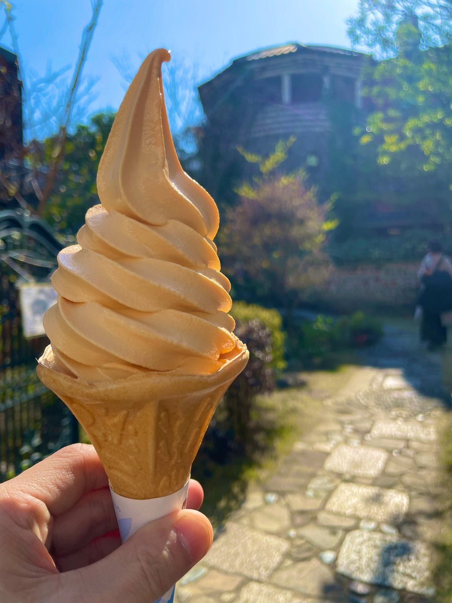 #メシテロ
#foodporn

『Loquat 🍦』