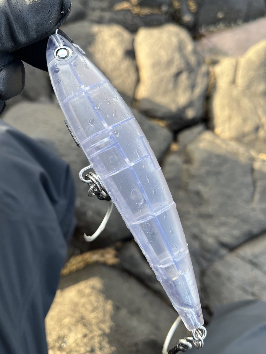 ryotasegawa (@ryotasegawa) / Posts and Replies / X