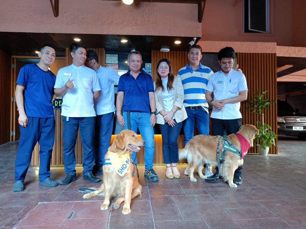 Our VIPs (Very Important Pets) today at our Hotel Ava Cuneta branch. 🤗🐾 #petfriendlyhotel #hotelava