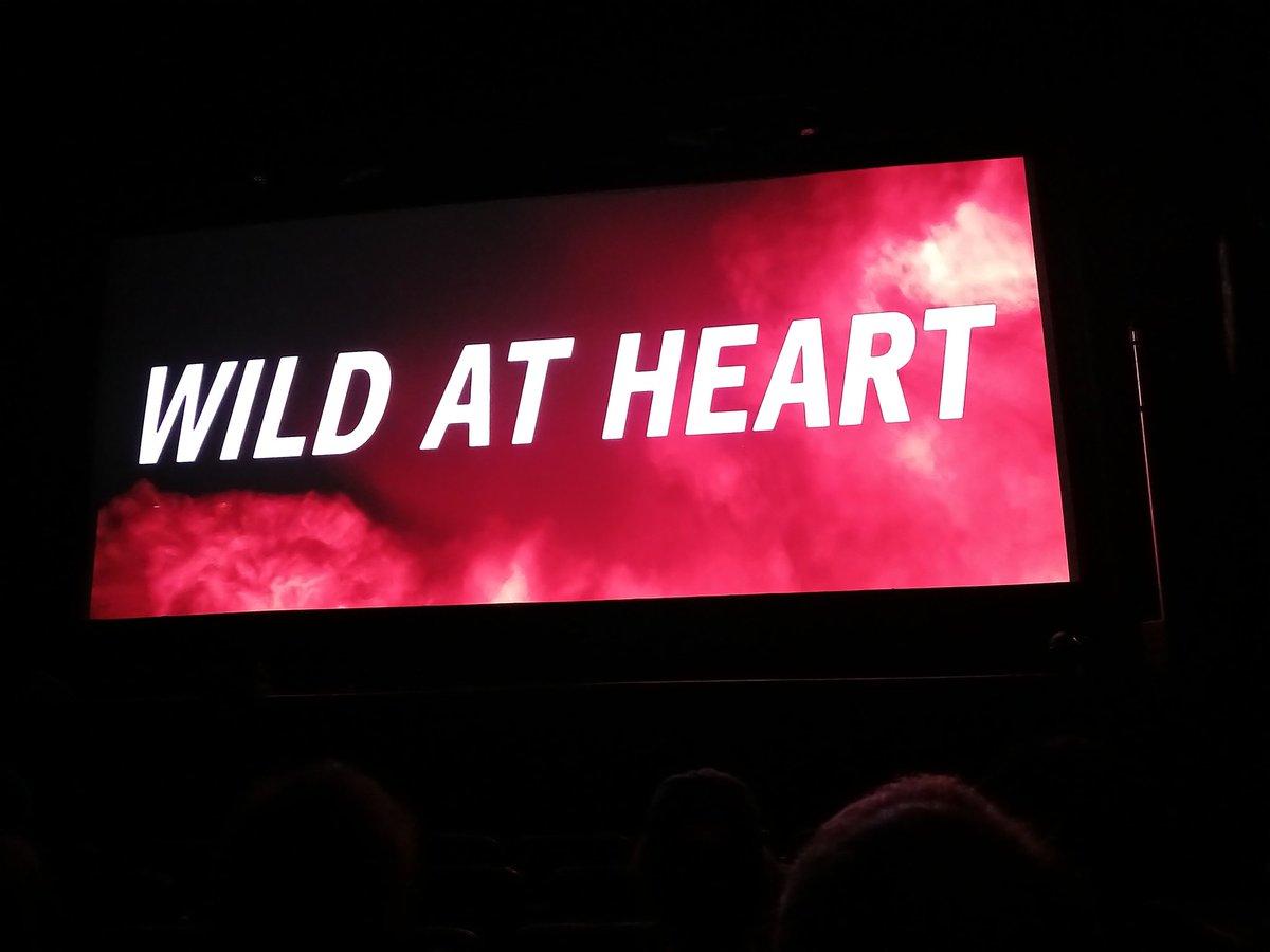 Fuimos ver _Wild at Heart_ en pantalla grande y con Barry Gifford, en el Texas Theatre de Dallas.