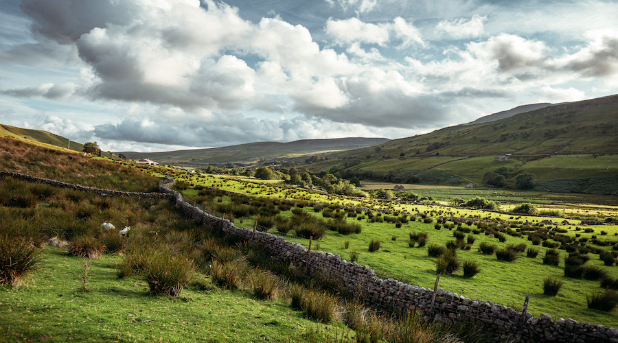 Happy #Sunday 💚

Do you fancy a long leg stretch in the #YorkshireDales today? Try this 9-mile Mallerstang hike 🥾

You can find this walk on our free walking app 👇

yorkshiredales.org.uk/things-to-do/g…

📸 Christopher Werrett 

#SundayVibes #Mallerstang #Cumbria #Dales