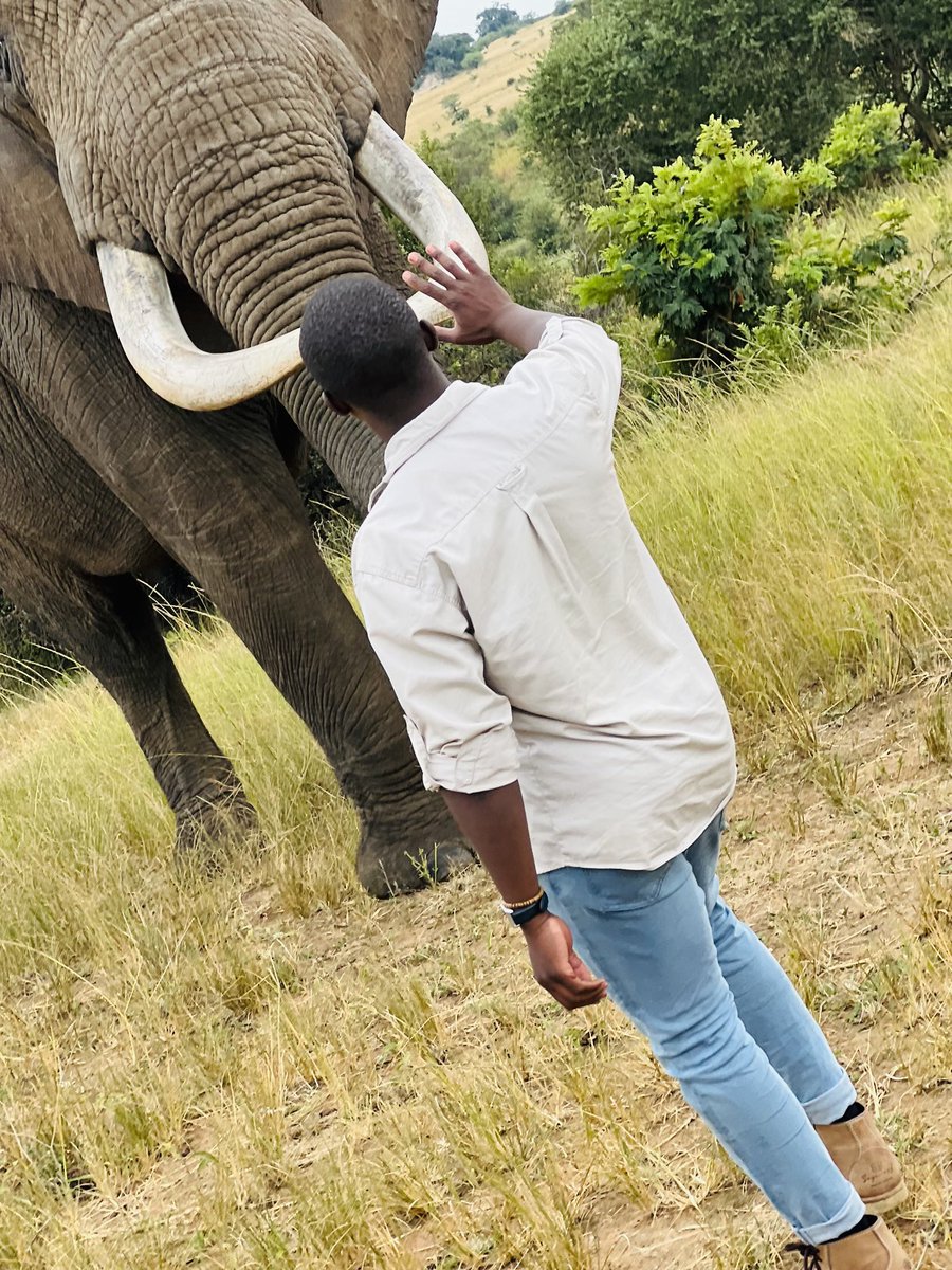 Fall in love with nature. Every single day. 📍 Imire Wildlife Conservation Park. #TravelZimbabwe