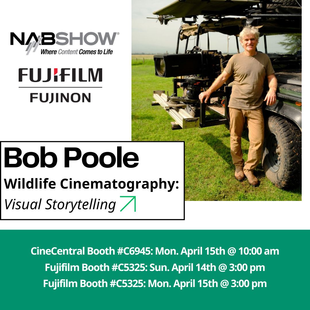 Join wildlife cinematographer @bobpoolefilms at #NABShow to learn about the techniques & gear he used filming in Kenya’s Amboseli National Park--from outfitting his Land Rover w/#FUJINON #DUVO zooms to utilizing @fujifilmx_us GFX100 II for dynamic stills & video, and more!