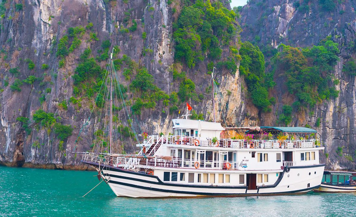 vntravelprice's tweet photo. Renea Cruise | Bai Tu Long Bay 2 Days 1 Night
The traditional wooden boat is subtly designed for each cabin, the  journey of less touristic, the friendly...
#tour #travel #tours #privatetour #customized #familytravel #vietnamtravelprice, #vietnamtourprice
https://t.co/3g2LJArn5p https://t.co/SRzqDY16nC